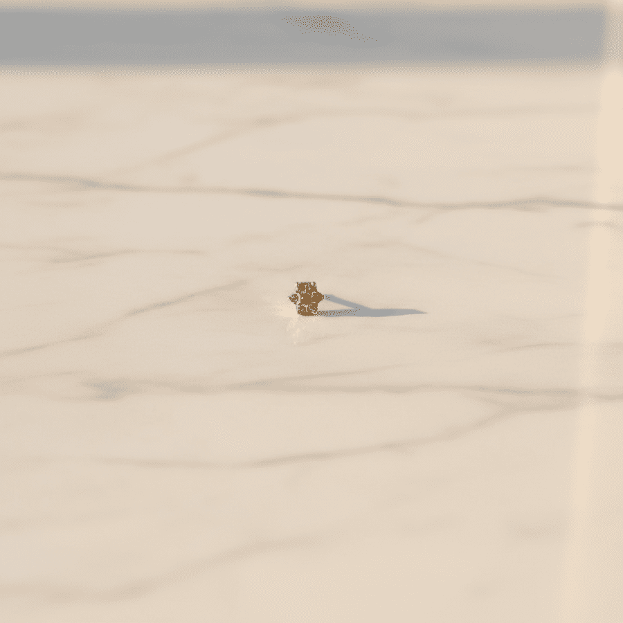 Gold Diamond Fower Nose Pin